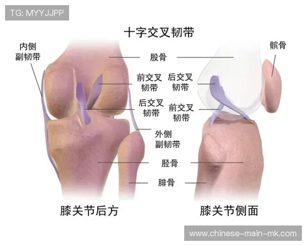从重伤到复出：莱奥耻骨伤势康复全过程，目标重返巅峰状态