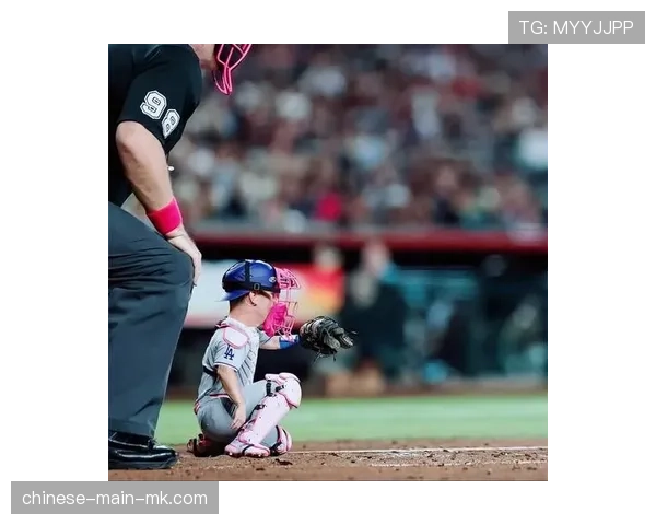 中国垒球联赛市场化探索:50万元准入费背后的商业逻辑